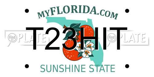 T23HIT Florida License Plate