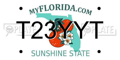 T23YYT Florida License Plate