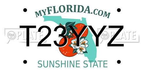 T23YYZ Florida License Plate