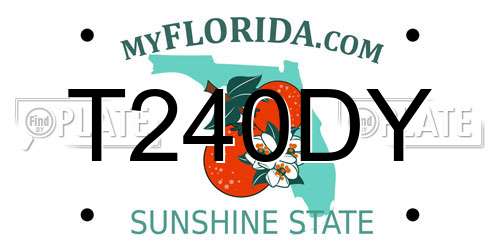 T240DY Florida License Plate