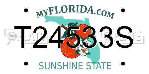T24533S Florida License Plate