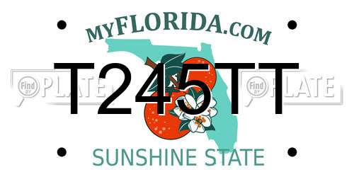 T245TT Florida License Plate
