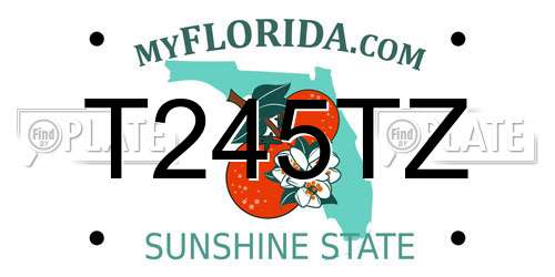 T245TZ Florida License Plate