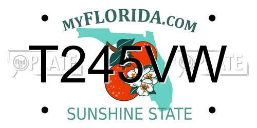 T245VW Florida License Plate