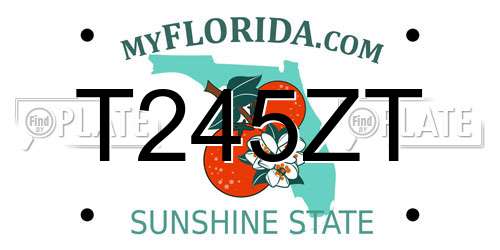 T245ZT Florida License Plate