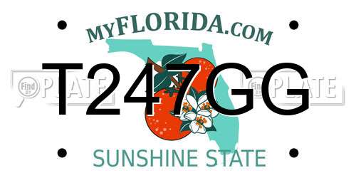 T247GG Florida License Plate