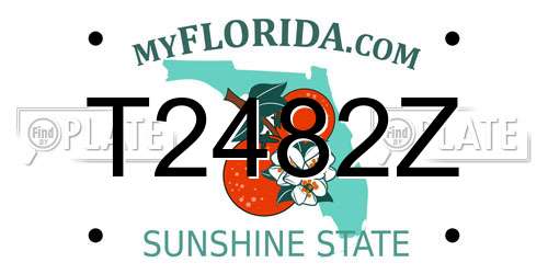 T2482Z Florida License Plate