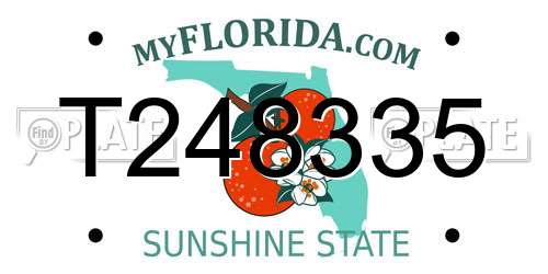 T248335 Florida License Plate