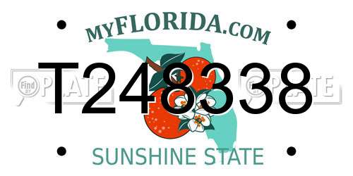 T248338 Florida License Plate