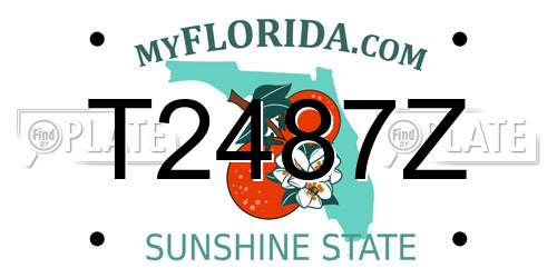 T2487Z Florida License Plate