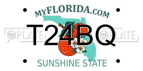 T24BQ Florida License Plate