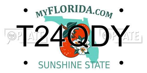 T24QDY Florida License Plate