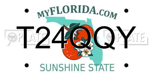 T24QQY Florida License Plate