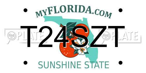 T24SZT Florida License Plate