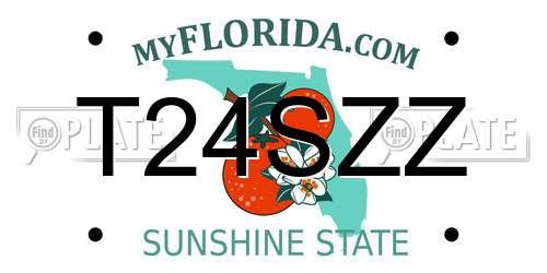 T24SZZ Florida License Plate