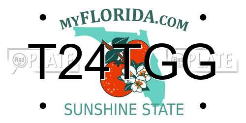 T24TGG Florida License Plate