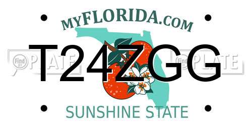 T24ZGG Florida License Plate