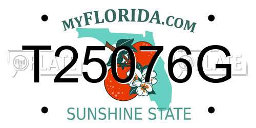 T25076G Florida License Plate