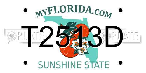 T2513D Florida License Plate