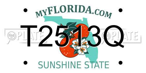 T2513Q Florida License Plate
