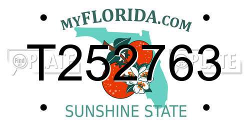 T252763 Florida License Plate