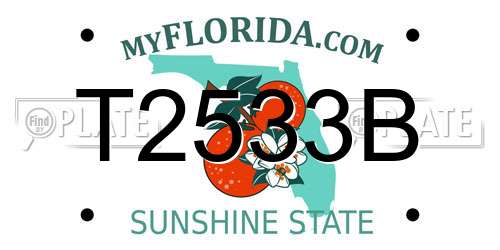 T2533B Florida License Plate