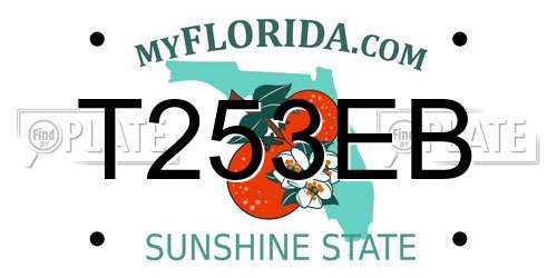 T253EB Florida License Plate