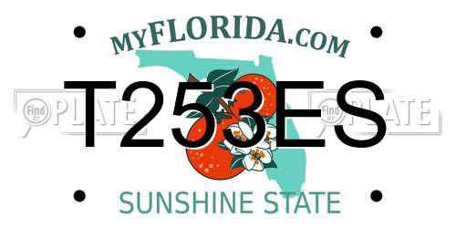 T253ES Florida License Plate
