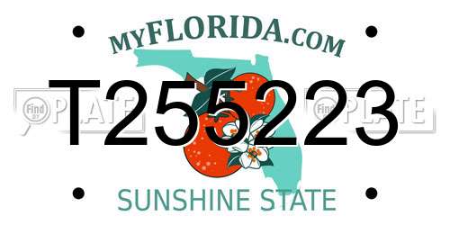 T255223 Florida License Plate