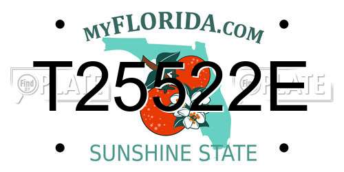 T25522E Florida License Plate