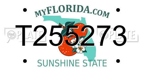 T255273 Florida License Plate