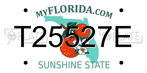 T25527E Florida License Plate