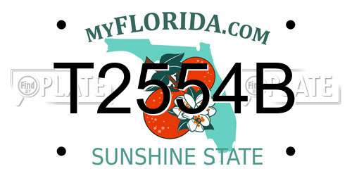 T2554B Florida License Plate