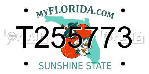 T255773 Florida License Plate