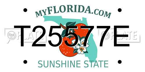 T25577E Florida License Plate