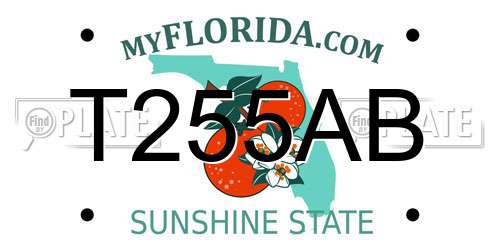 T255AB Florida License Plate
