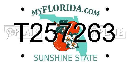 T257263 Florida License Plate
