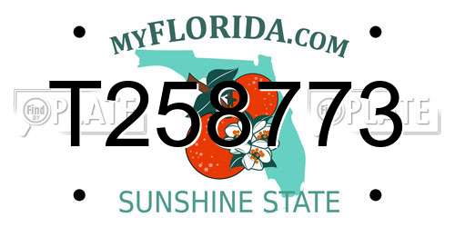 T258773 Florida License Plate
