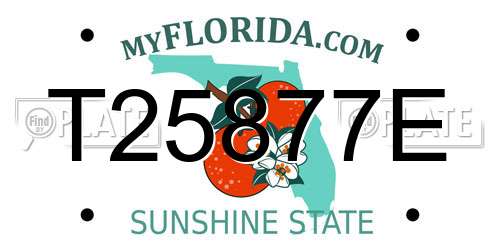 T25877E Florida License Plate