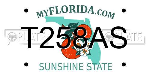 T258AS Florida License Plate