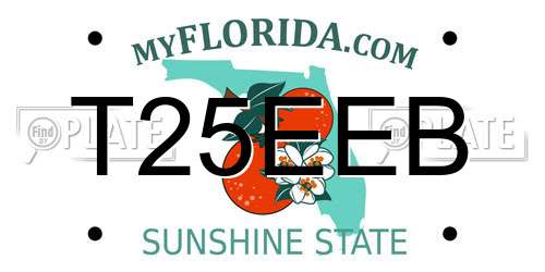 T25EEB Florida License Plate
