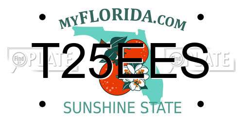 T25EES Florida License Plate