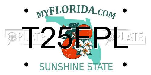 T25FPL Florida License Plate