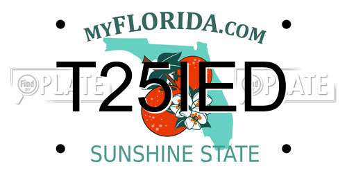 T25IED Florida License Plate