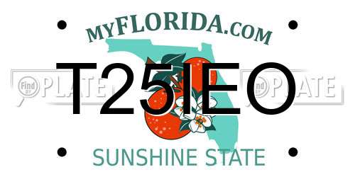 T25IEO Florida License Plate