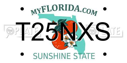 T25NXS Florida License Plate