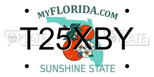 T25XBY Florida License Plate