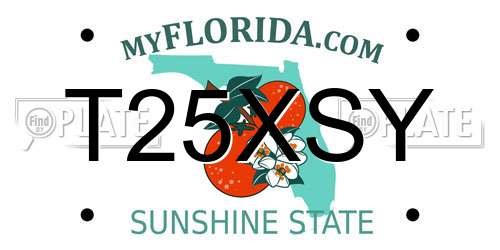 T25XSY Florida License Plate
