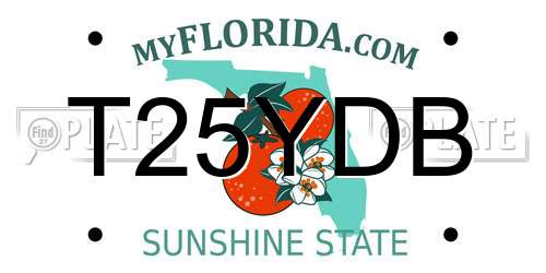 T25YDB Florida License Plate
