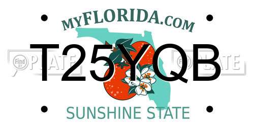 T25YQB Florida License Plate